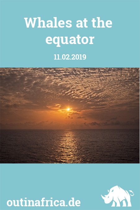 11.02.2019 - Wale am Äquator