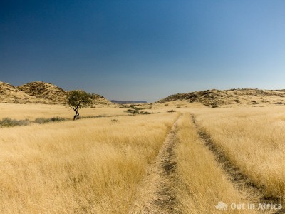 Damaraland nach gutem Regen Gras Damaraland