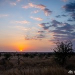 Sonnenaufgang im Kruger Nationalpark Sonnenaufgang im Kruger Nationalpark