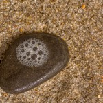 Kieselstein Kieselstein